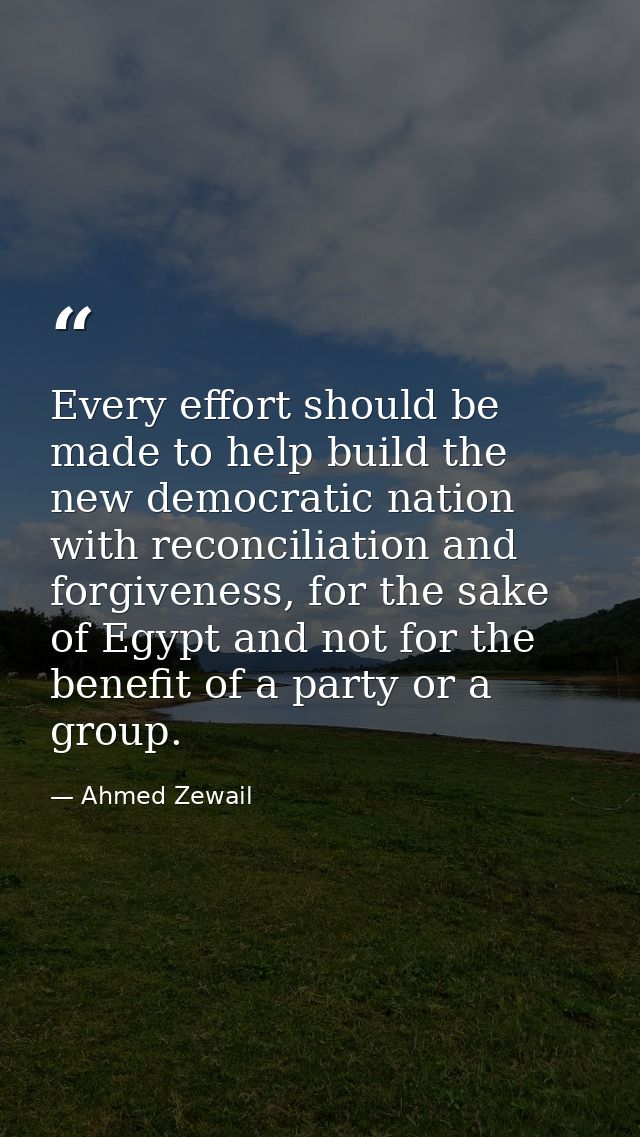 Every effort should be made to help build the new democratic nation with reconciliation and forgiveness, for the sake of — Ahmed Zewail