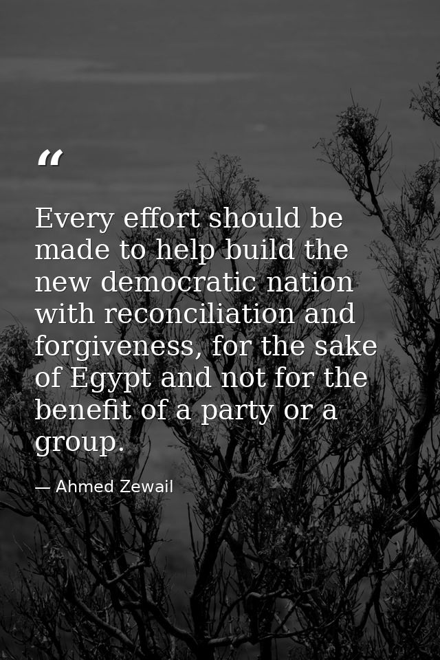 Every effort should be made to help build the new democratic nation with reconciliation and forgiveness, for the sake of — Ahmed Zewail