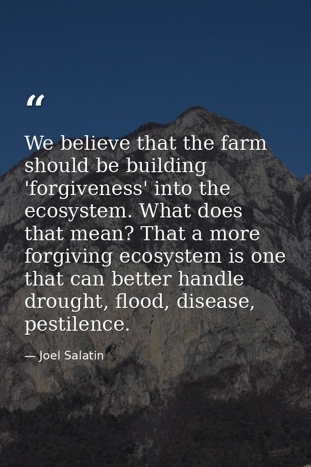 We believe that the farm should be building 'forgiveness' into the ecosystem. What does that mean? That a more forgiving — Joel Salatin