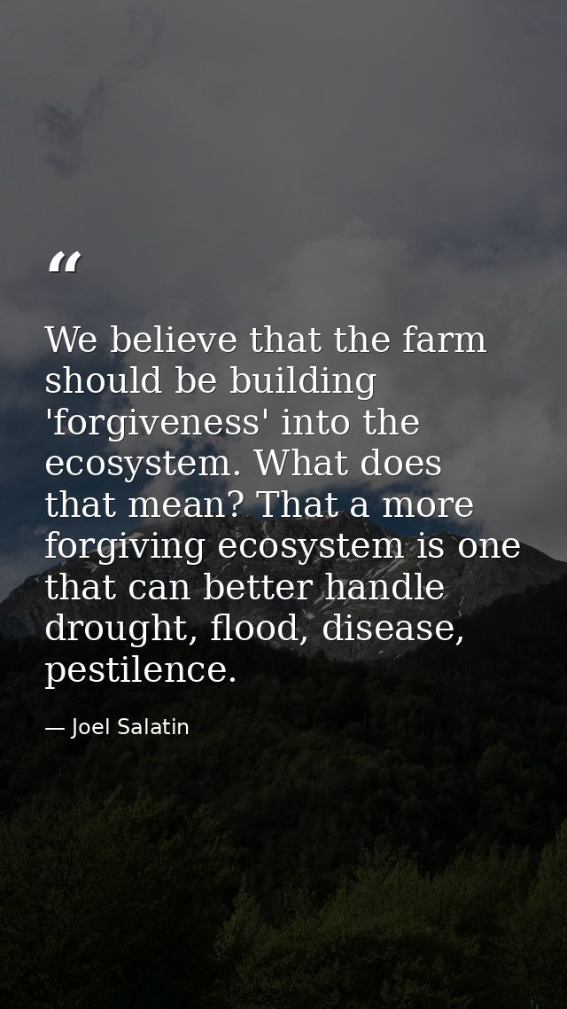 We believe that the farm should be building 'forgiveness' into the ecosystem. What does that mean? That a more forgiving — Joel Salatin