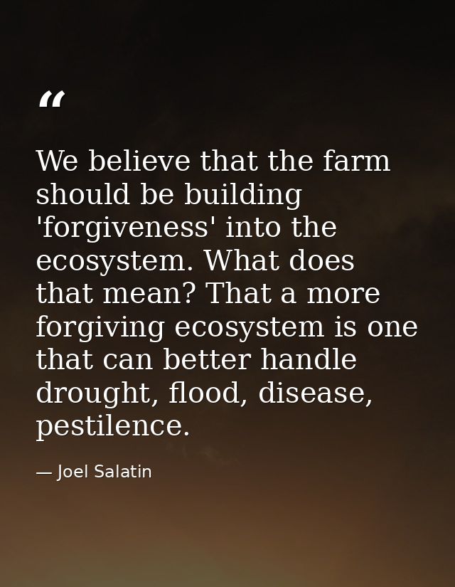 We believe that the farm should be building 'forgiveness' into the ecosystem. What does that mean? That a more forgiving — Joel Salatin