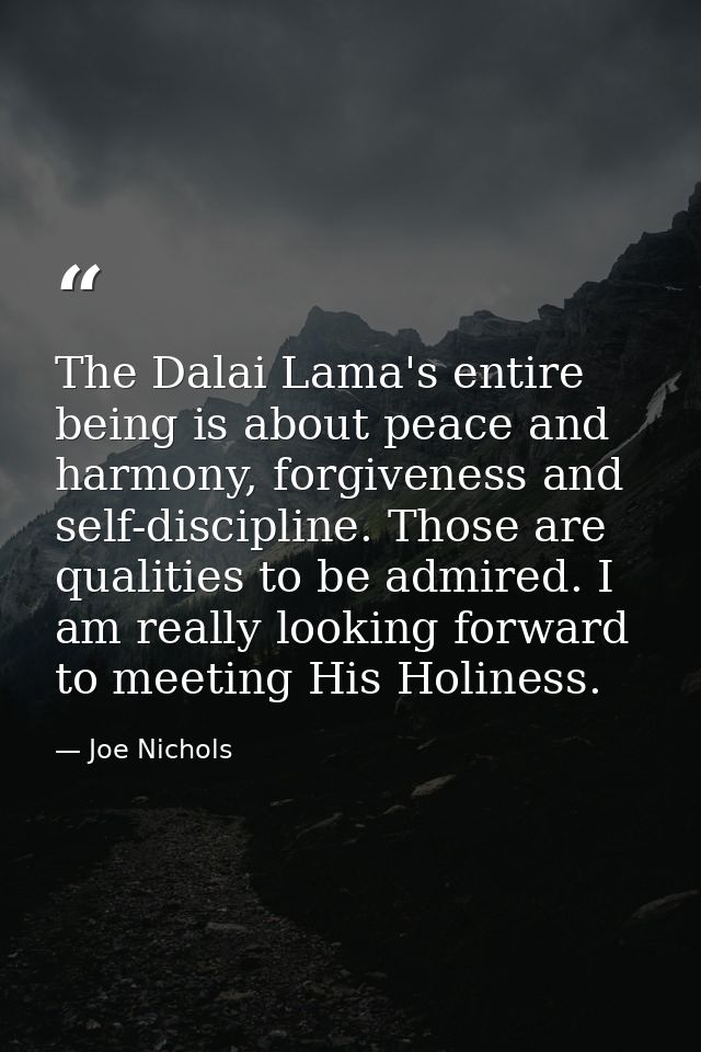 The Dalai Lama's entire being is about peace and harmony, forgiveness and self-discipline. Those are qualities to be adm — Joe Nichols