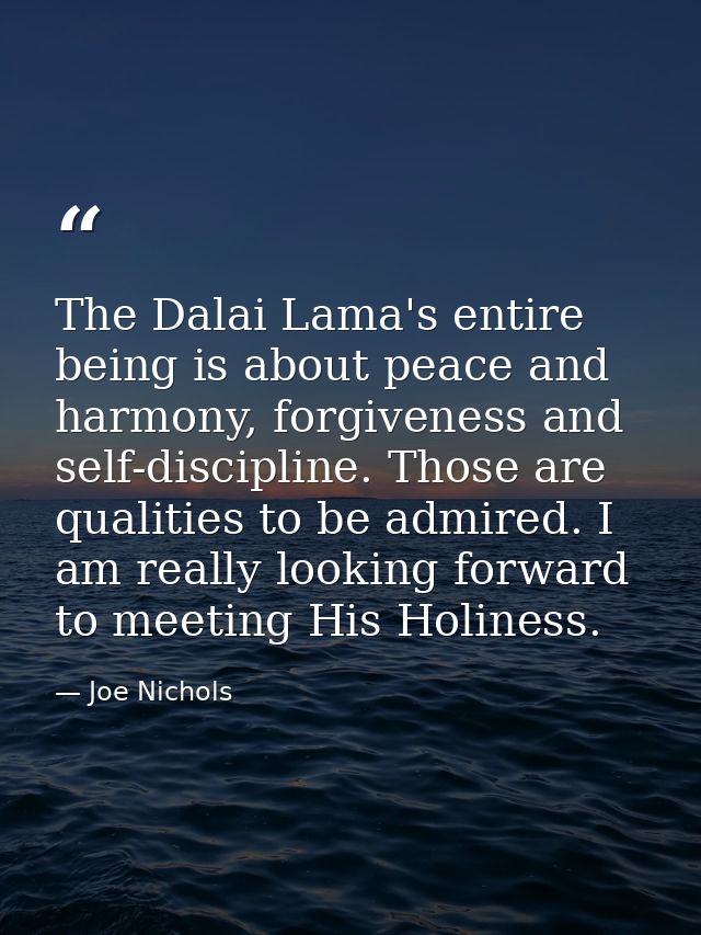 The Dalai Lama's entire being is about peace and harmony, forgiveness and self-discipline. Those are qualities to be adm — Joe Nichols