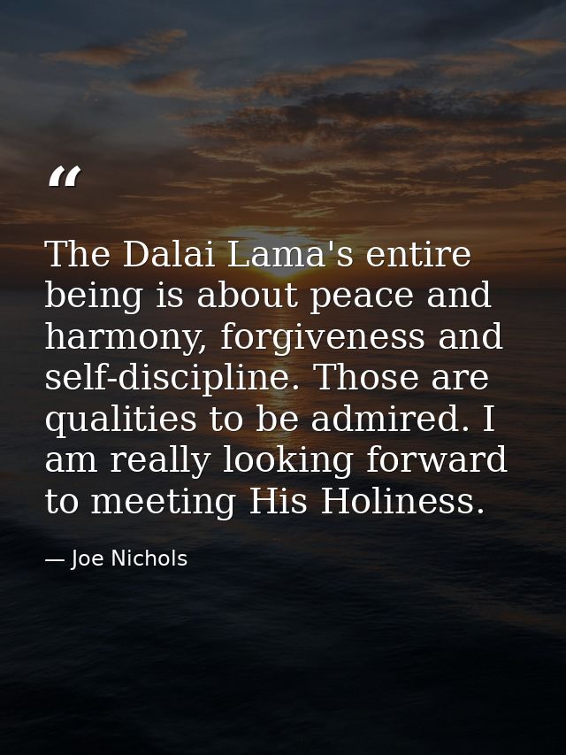 The Dalai Lama's entire being is about peace and harmony, forgiveness and self-discipline. Those are qualities to be adm — Joe Nichols