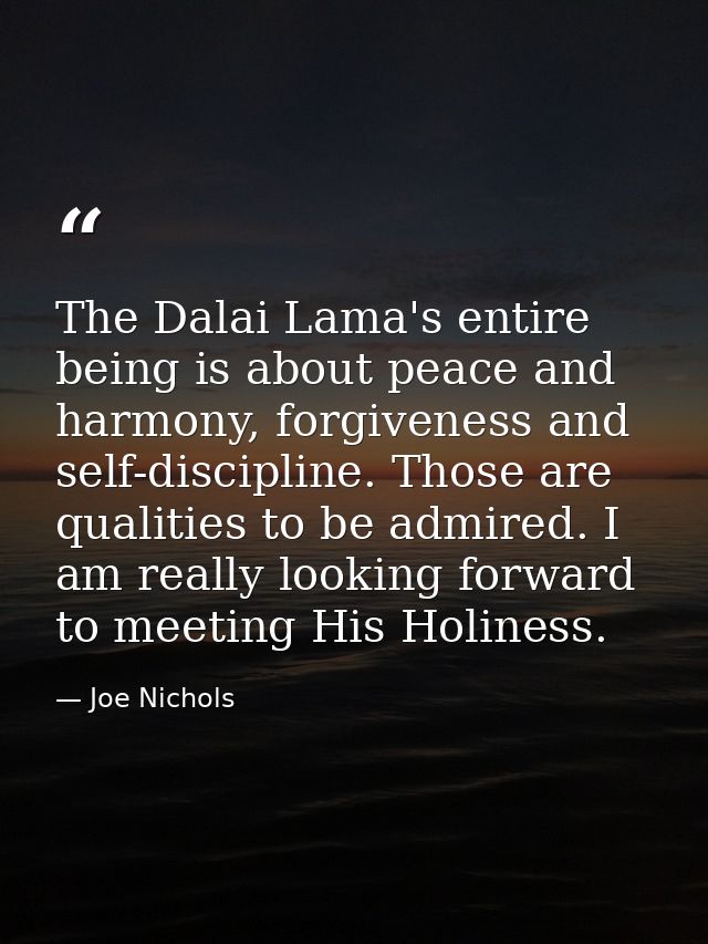The Dalai Lama's entire being is about peace and harmony, forgiveness and self-discipline. Those are qualities to be adm — Joe Nichols