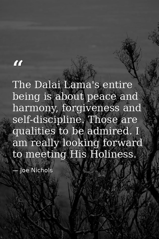 The Dalai Lama's entire being is about peace and harmony, forgiveness and self-discipline. Those are qualities to be adm — Joe Nichols