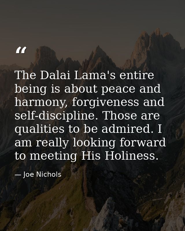 The Dalai Lama's entire being is about peace and harmony, forgiveness and self-discipline. Those are qualities to be adm — Joe Nichols