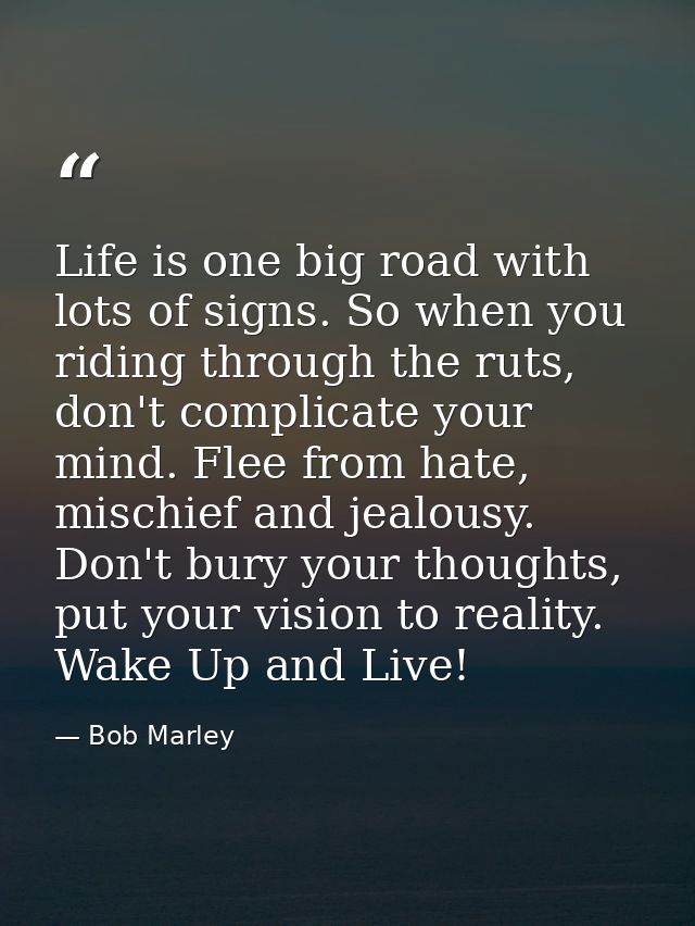 Life is one big road with lots of signs. So when you riding through the ruts, don't complicate your mind. Flee from hate — Bob Marley