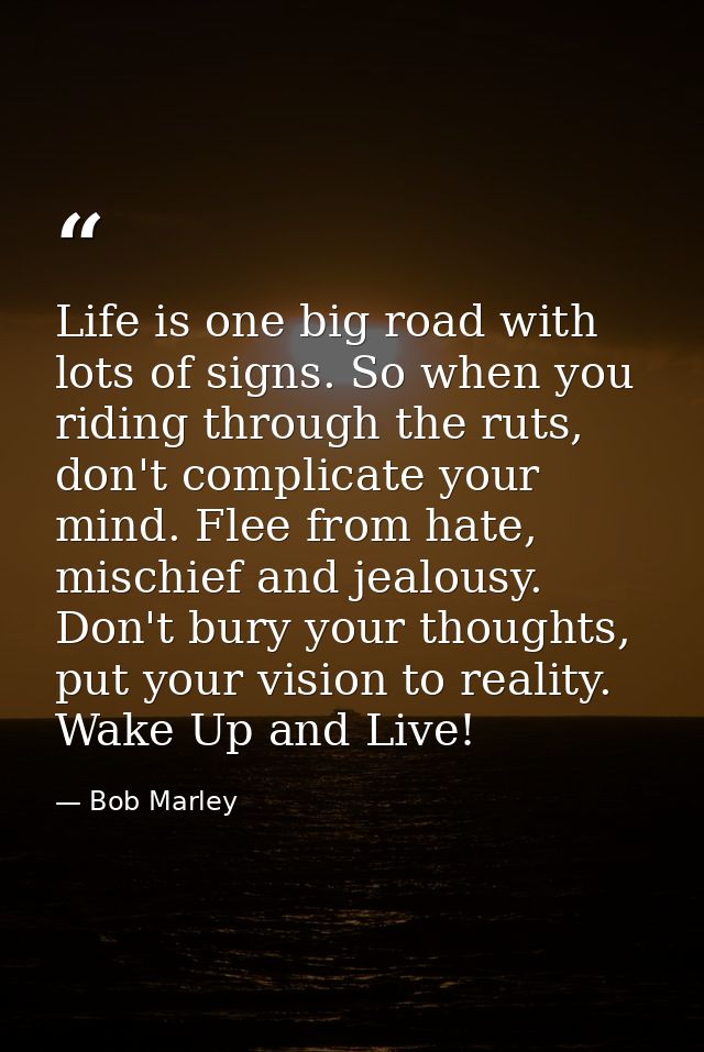 Life is one big road with lots of signs. So when you riding through the ruts, don't complicate your mind. Flee from hate — Bob Marley
