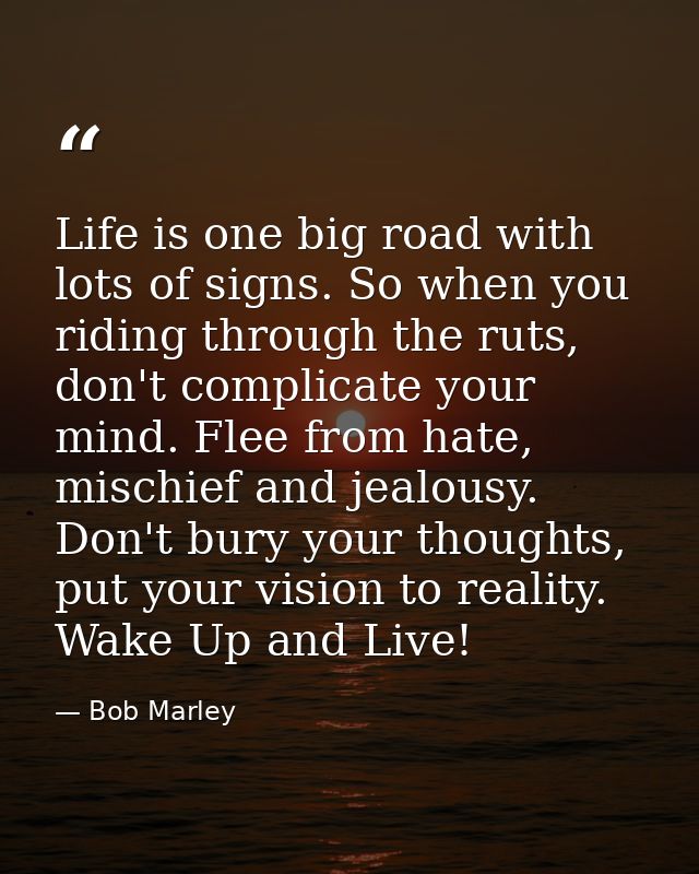 Life is one big road with lots of signs. So when you riding through the ruts, don't complicate your mind. Flee from hate — Bob Marley
