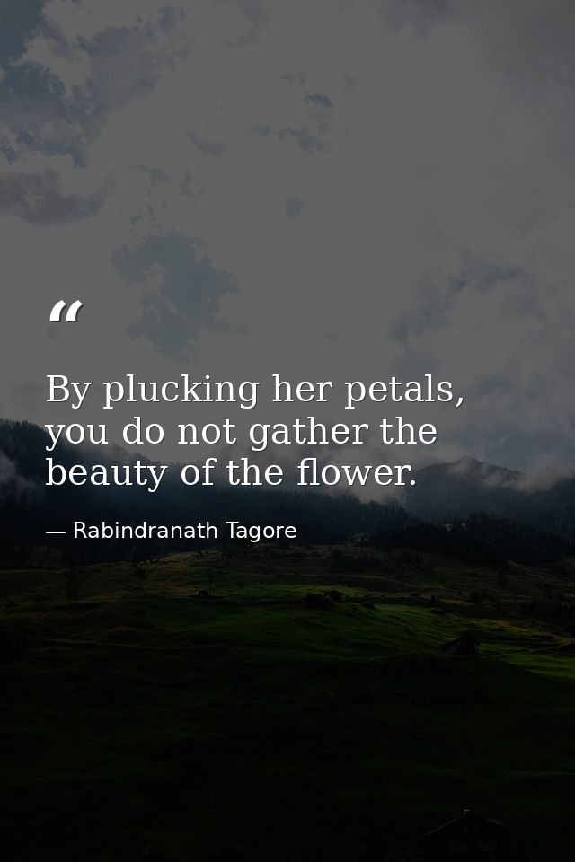 By plucking her petals, you do not gather the beauty of the flower. — Rabindranath Tagore