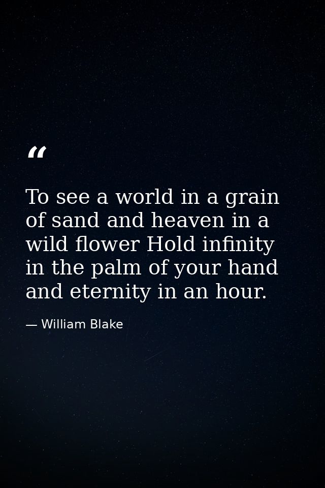 To see a world in a grain of sand and heaven in a wild flower Hold infinity in the palm of your hand and eternity in an  — William Blake