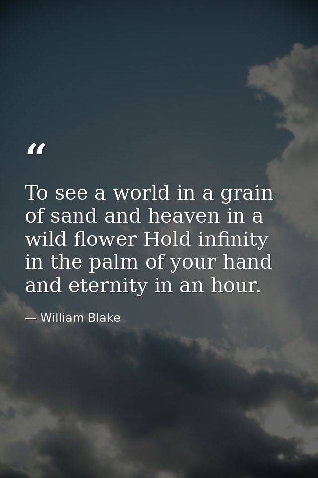 To see a world in a grain of sand and heaven in a wild flower Hold infinity in the palm of your hand and eternity in an  — William Blake