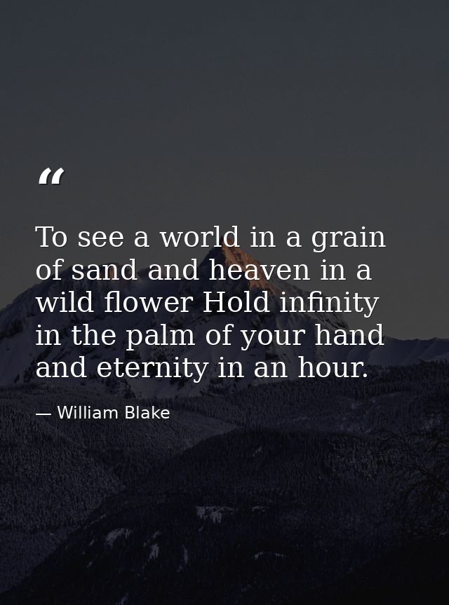 To see a world in a grain of sand and heaven in a wild flower Hold infinity in the palm of your hand and eternity in an  — William Blake