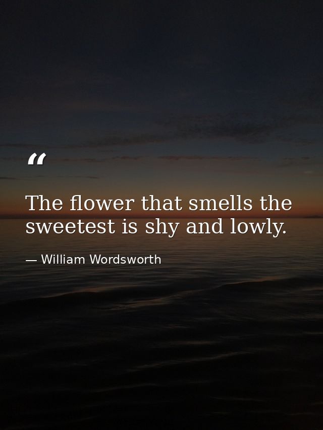 The flower that smells the sweetest is shy and lowly. — William Wordsworth