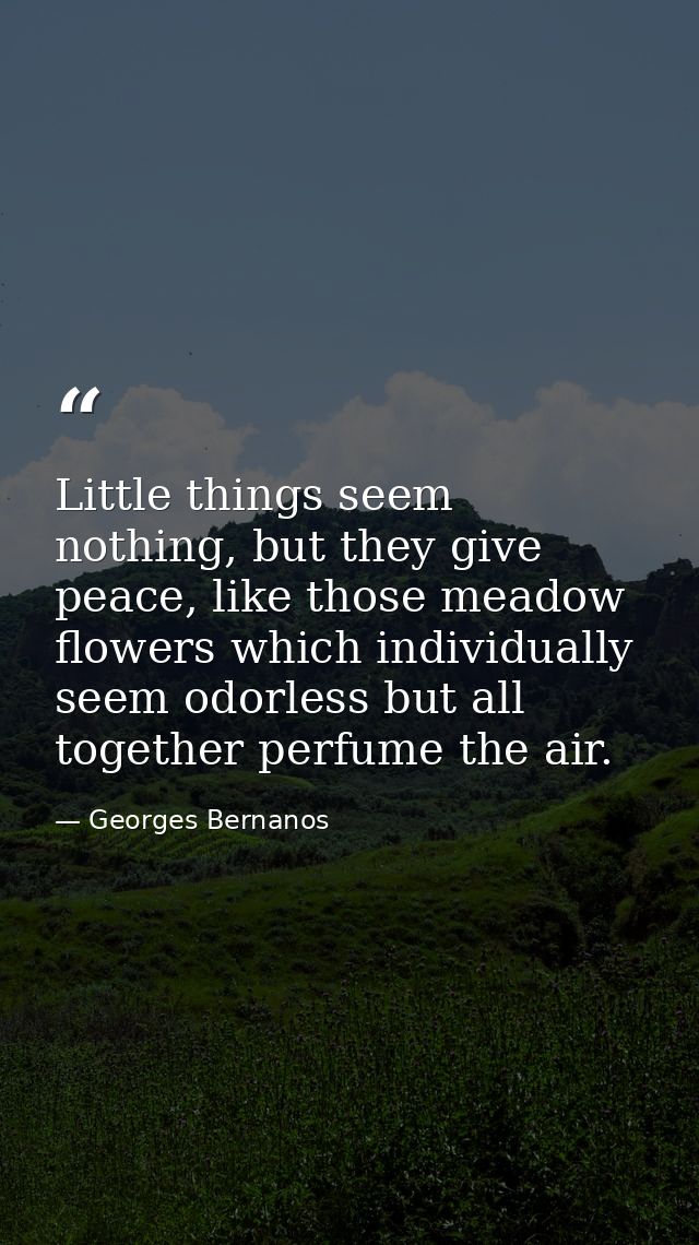 Little things seem nothing, but they give peace, like those meadow flowers which individually seem odorless but all toge — Georges Bernanos