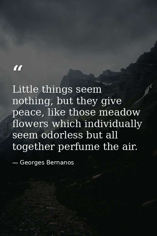 Little things seem nothing, but they give peace, like those meadow flowers which individually seem odorless but all toge — Georges Bernanos