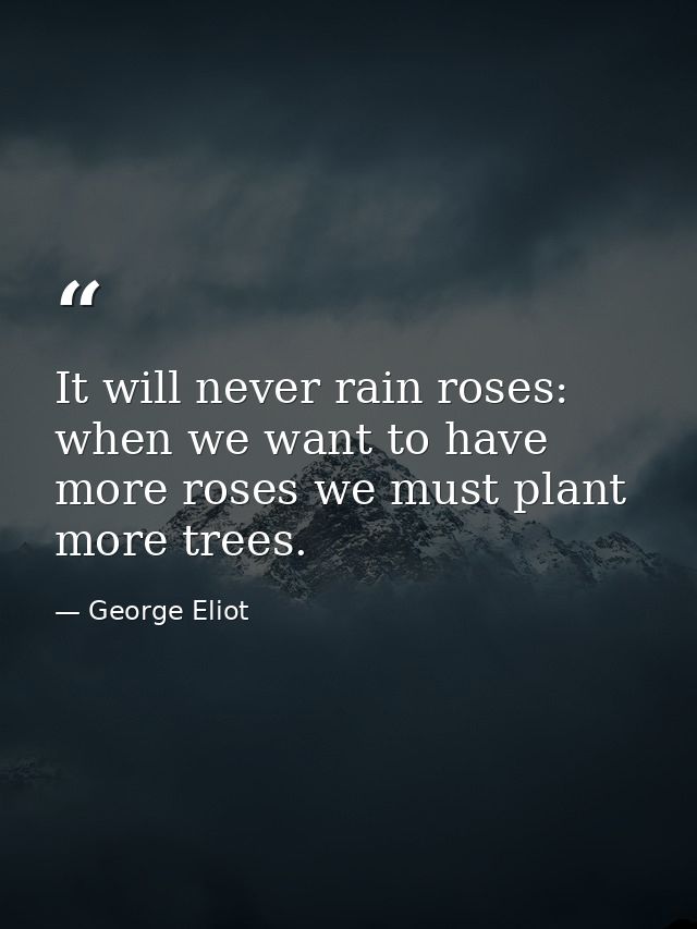 It will never rain roses: when we want to have more roses we must plant more trees. — George Eliot