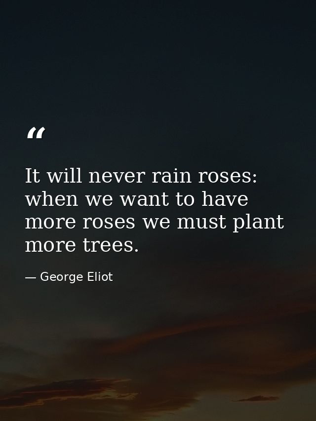 It will never rain roses: when we want to have more roses we must plant more trees. — George Eliot