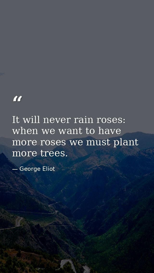 It will never rain roses: when we want to have more roses we must plant more trees. — George Eliot