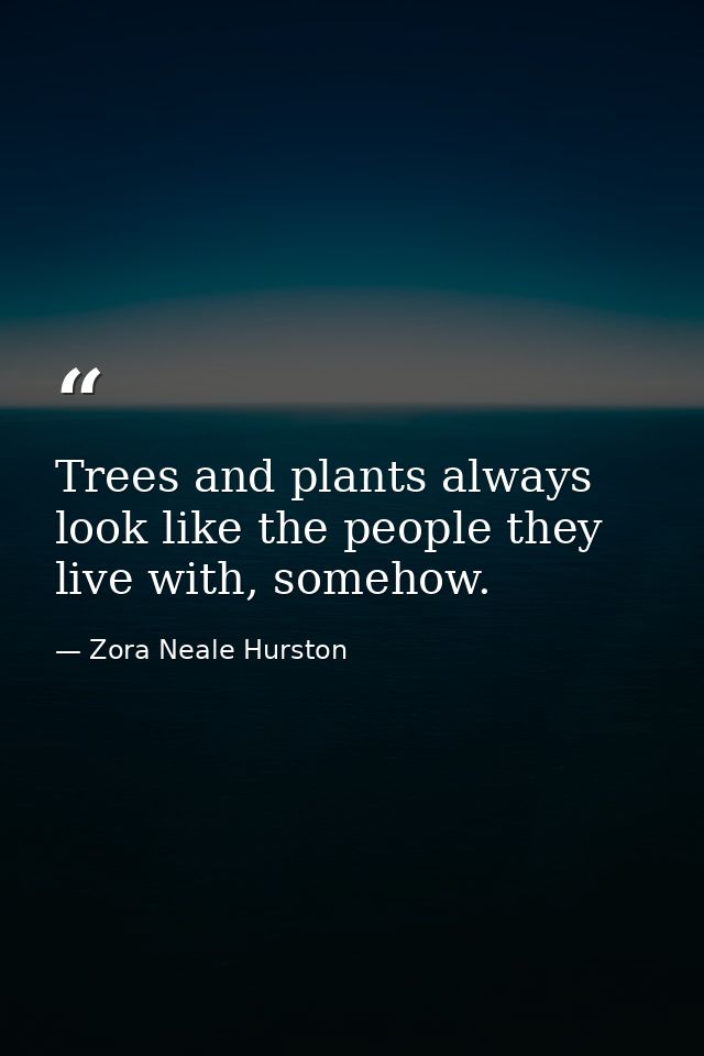 Trees and plants always look like the people they live with, somehow. — Zora Neale Hurston