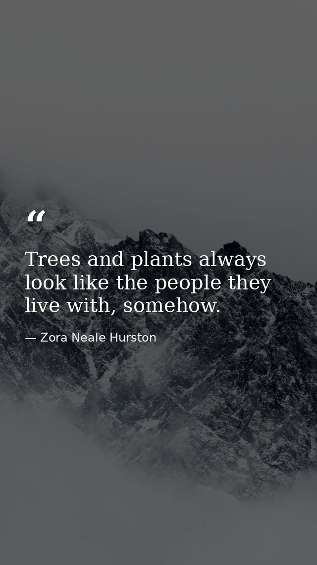 Trees and plants always look like the people they live with, somehow. — Zora Neale Hurston