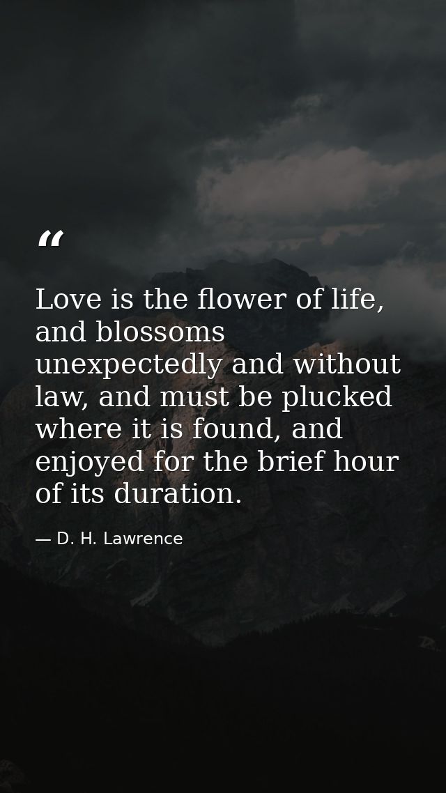 Love is the flower of life, and blossoms unexpectedly and without law, and must be plucked where it is found, and enjoye — D. H. Lawrence