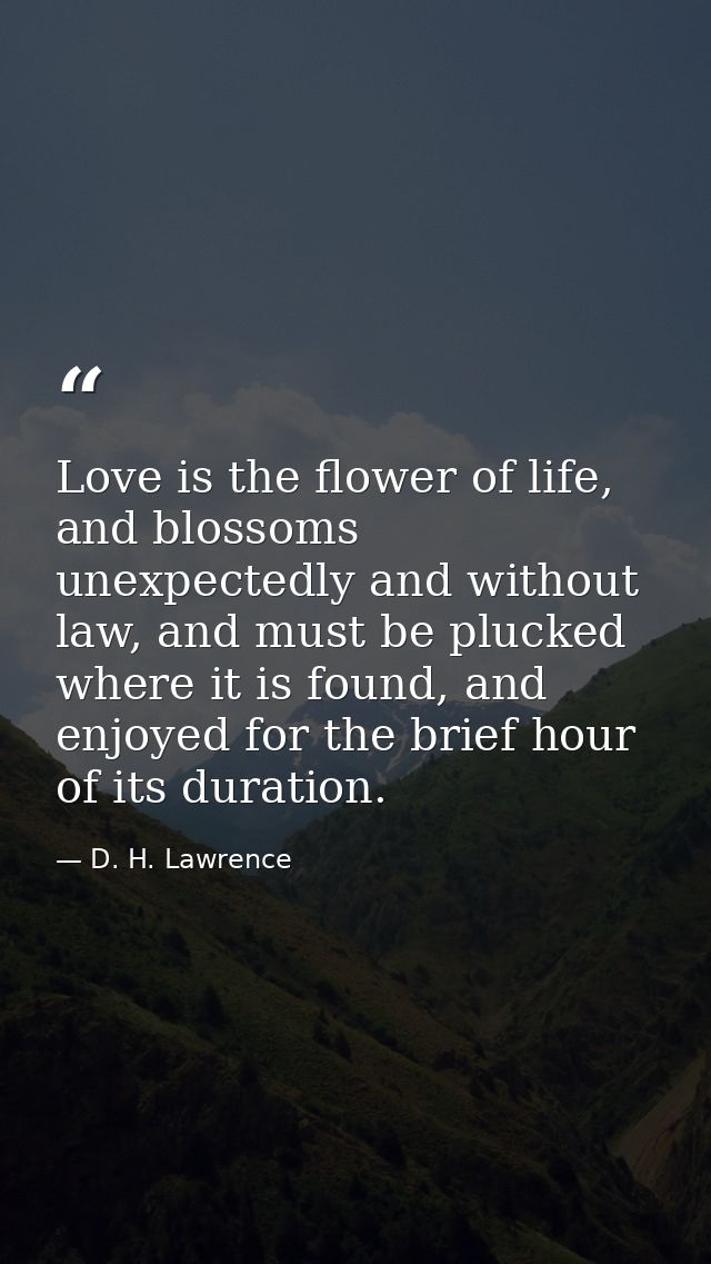 Love is the flower of life, and blossoms unexpectedly and without law, and must be plucked where it is found, and enjoye — D. H. Lawrence