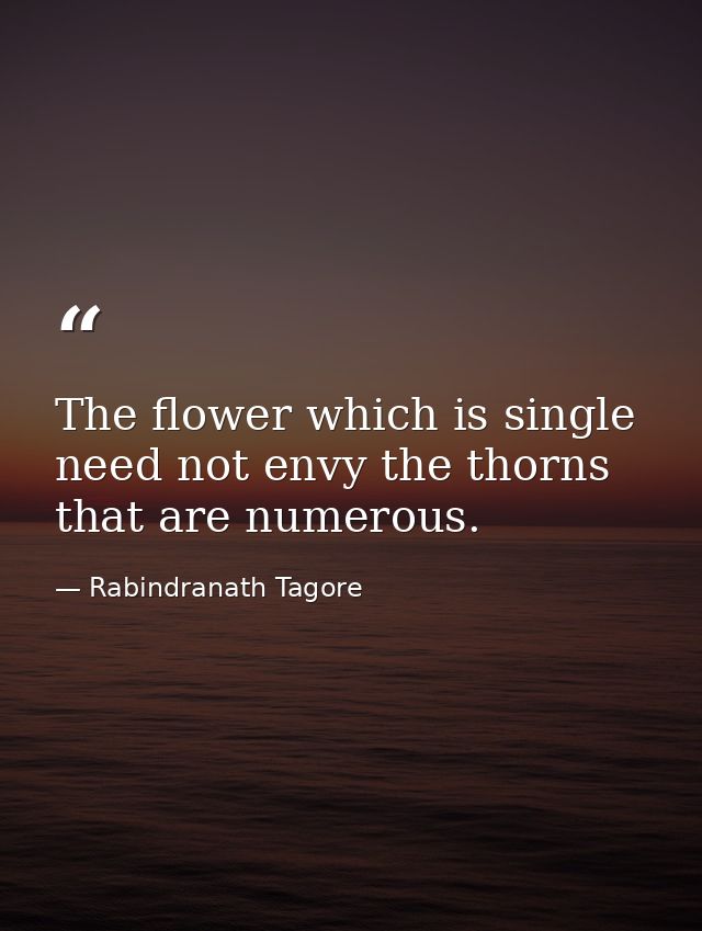 The flower which is single need not envy the thorns that are numerous. — Rabindranath Tagore