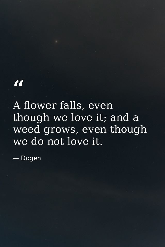 A flower falls, even though we love it; and a weed grows, even though we do not love it. — Dogen