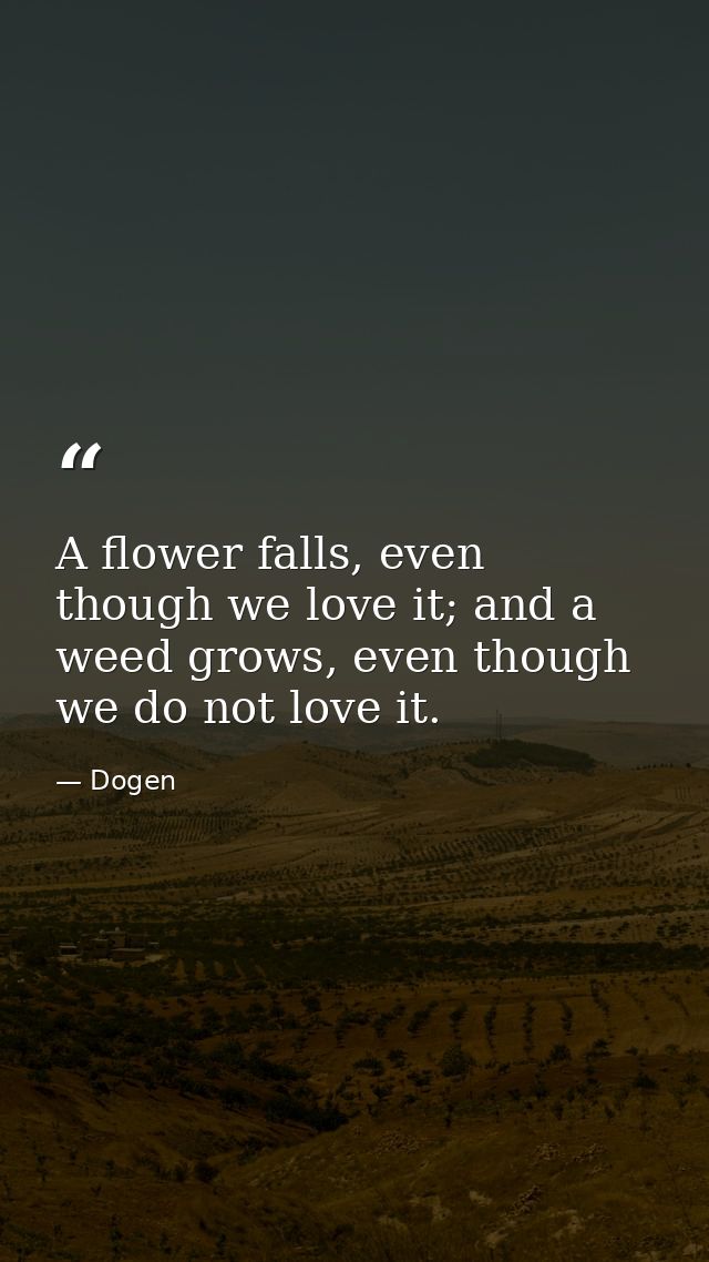 A flower falls, even though we love it; and a weed grows, even though we do not love it. — Dogen