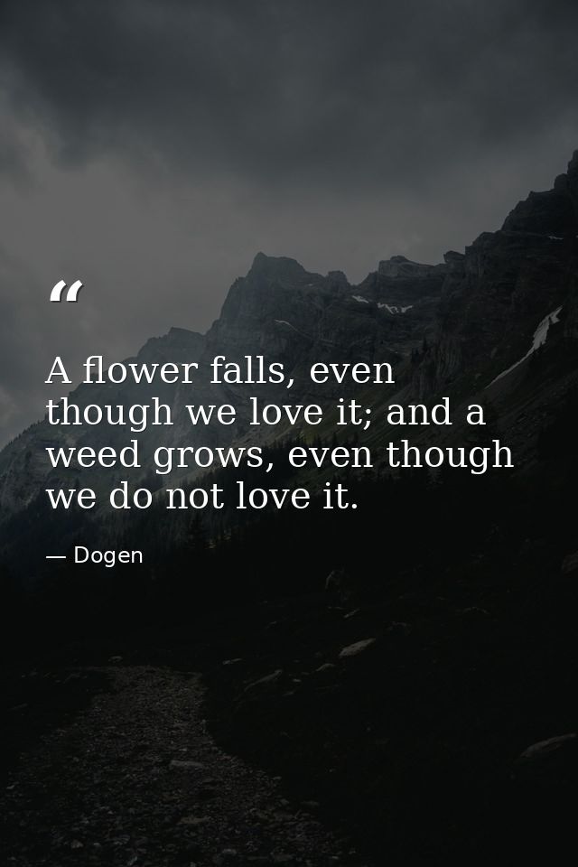 A flower falls, even though we love it; and a weed grows, even though we do not love it. — Dogen