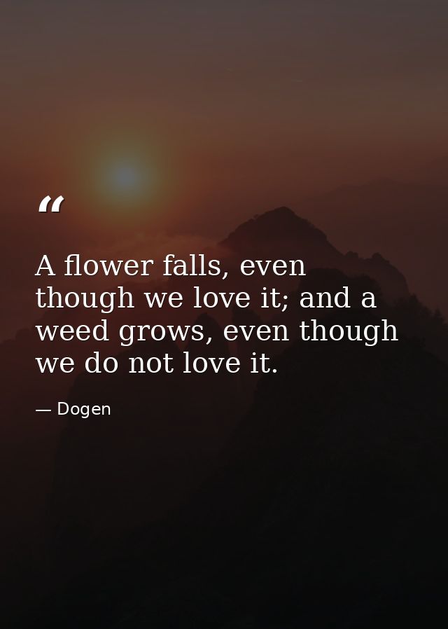 A flower falls, even though we love it; and a weed grows, even though we do not love it. — Dogen