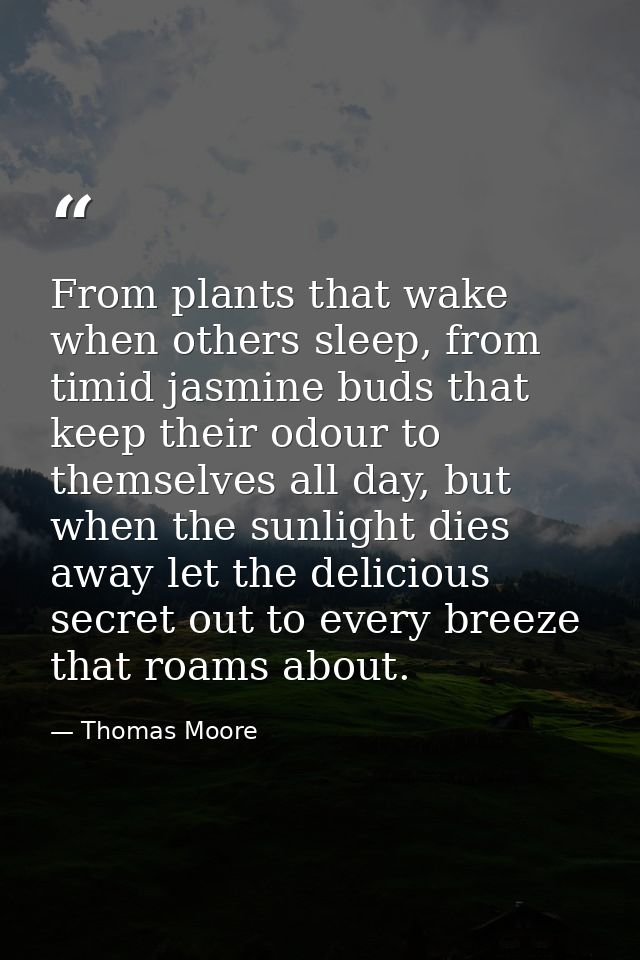 From plants that wake when others sleep, from timid jasmine buds that keep their odour to themselves all day, but when t — Thomas Moore