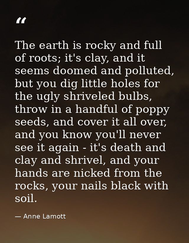 The earth is rocky and full of roots; it's clay, and it seems doomed and polluted, but you dig little holes for the ugly — Anne Lamott