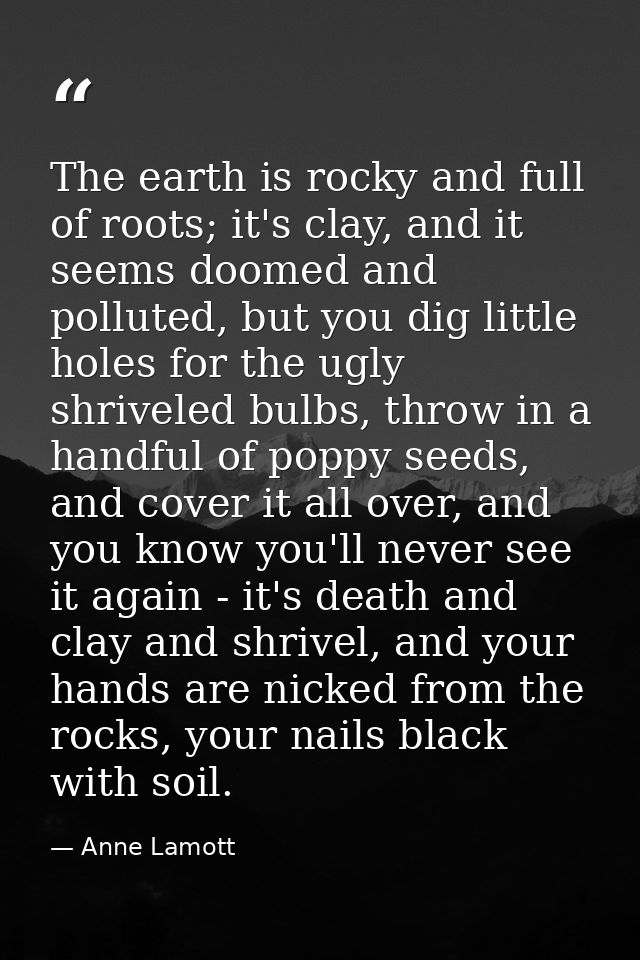 The earth is rocky and full of roots; it's clay, and it seems doomed and polluted, but you dig little holes for the ugly — Anne Lamott