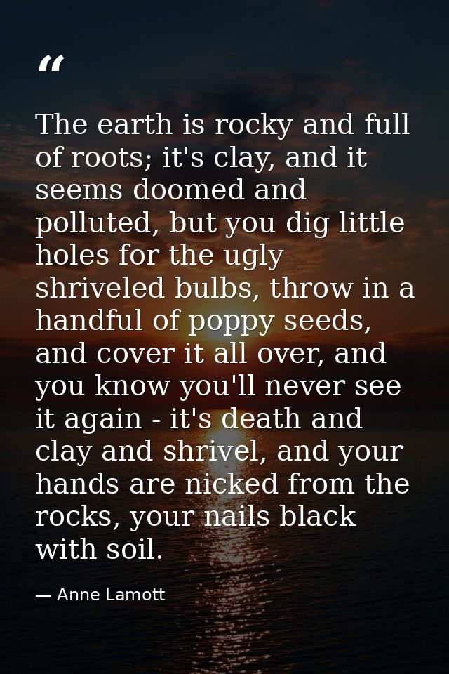 The earth is rocky and full of roots; it's clay, and it seems doomed and polluted, but you dig little holes for the ugly — Anne Lamott