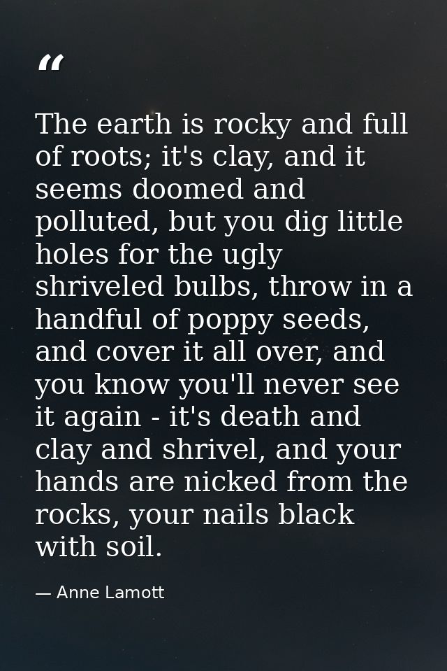 The earth is rocky and full of roots; it's clay, and it seems doomed and polluted, but you dig little holes for the ugly — Anne Lamott