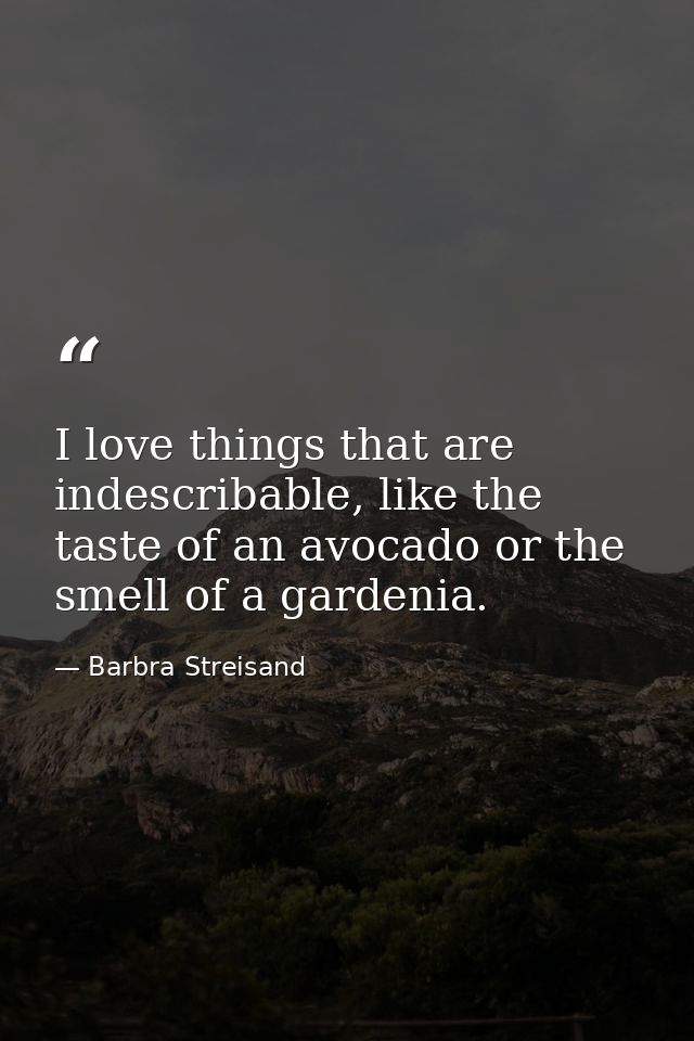 I love things that are indescribable, like the taste of an avocado or the smell of a gardenia. — Barbra Streisand