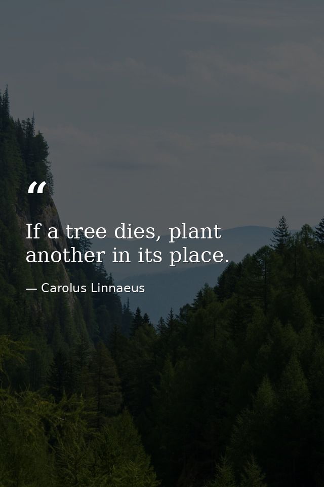 If a tree dies, plant another in its place. — Carolus Linnaeus
