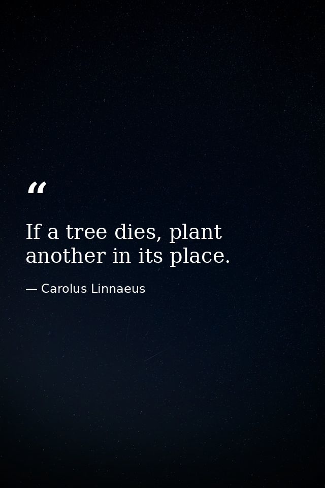 If a tree dies, plant another in its place. — Carolus Linnaeus