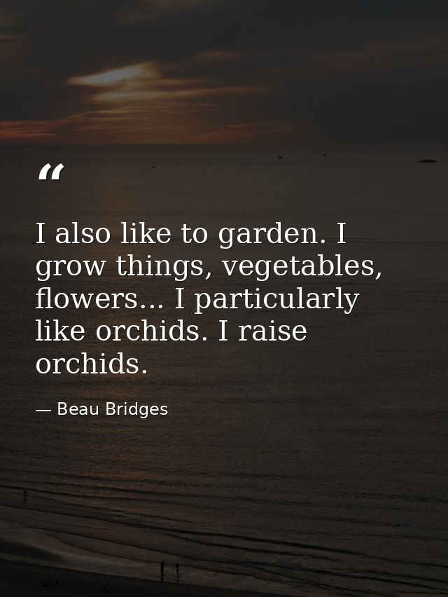 I also like to garden. I grow things, vegetables, flowers... I particularly like orchids. I raise orchids. — Beau Bridges
