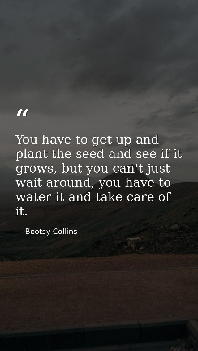 You have to get up and plant the seed and see if it grows, but you can't just wait around, you have to water it and take — Bootsy Collins