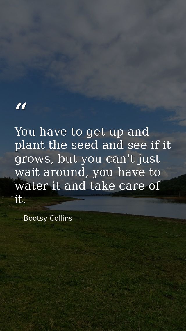 You have to get up and plant the seed and see if it grows, but you can't just wait around, you have to water it and take — Bootsy Collins