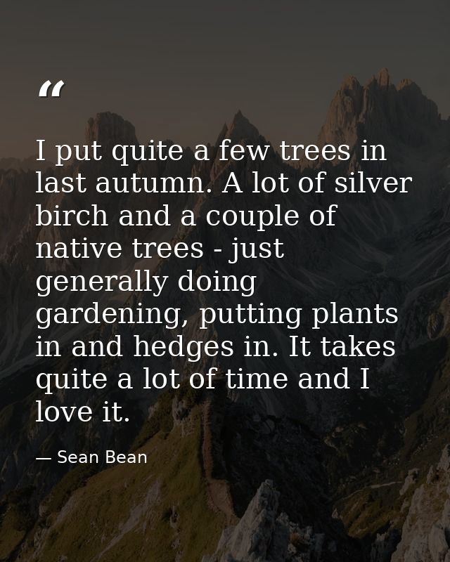 I put quite a few trees in last autumn. A lot of silver birch and a couple of native trees - just generally doing garden — Sean Bean