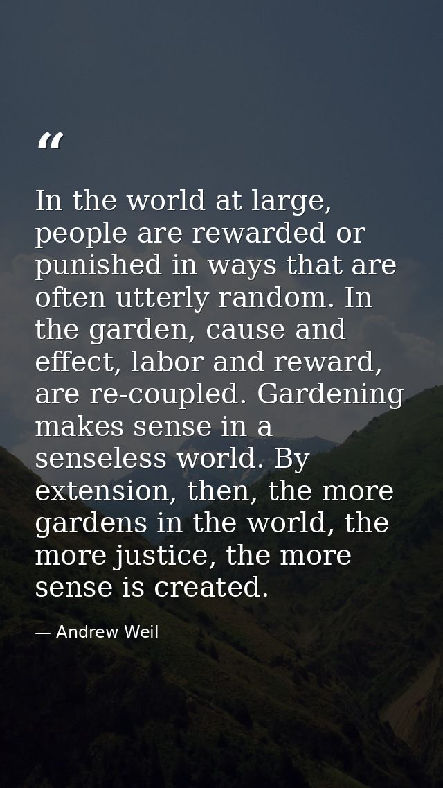 In the world at large, people are rewarded or punished in ways that are often utterly random. In the garden, cause and e — Andrew Weil