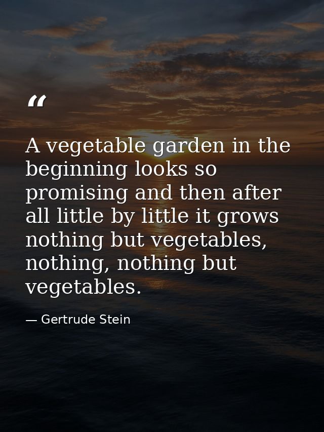 A vegetable garden in the beginning looks so promising and then after all little by little it grows nothing but vegetabl — Gertrude Stein