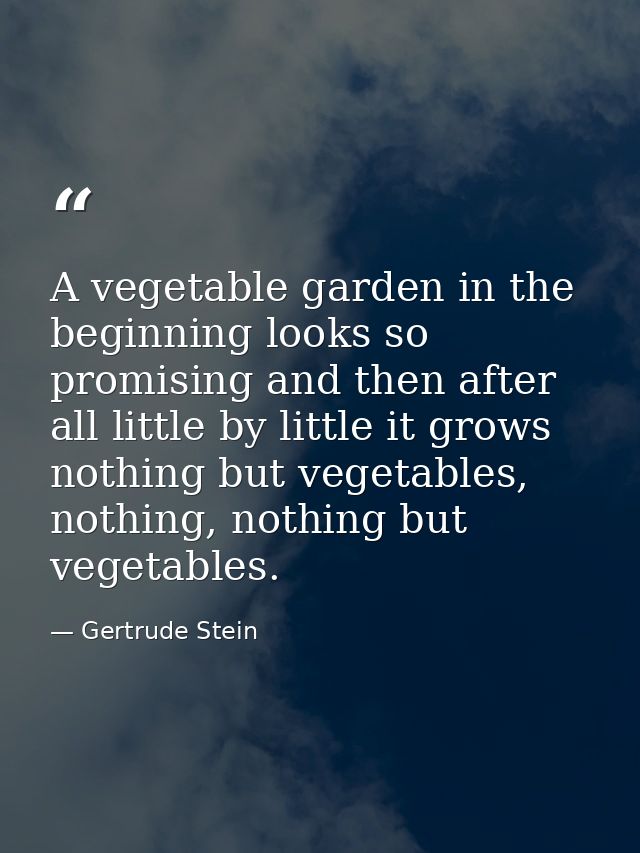 A vegetable garden in the beginning looks so promising and then after all little by little it grows nothing but vegetabl — Gertrude Stein