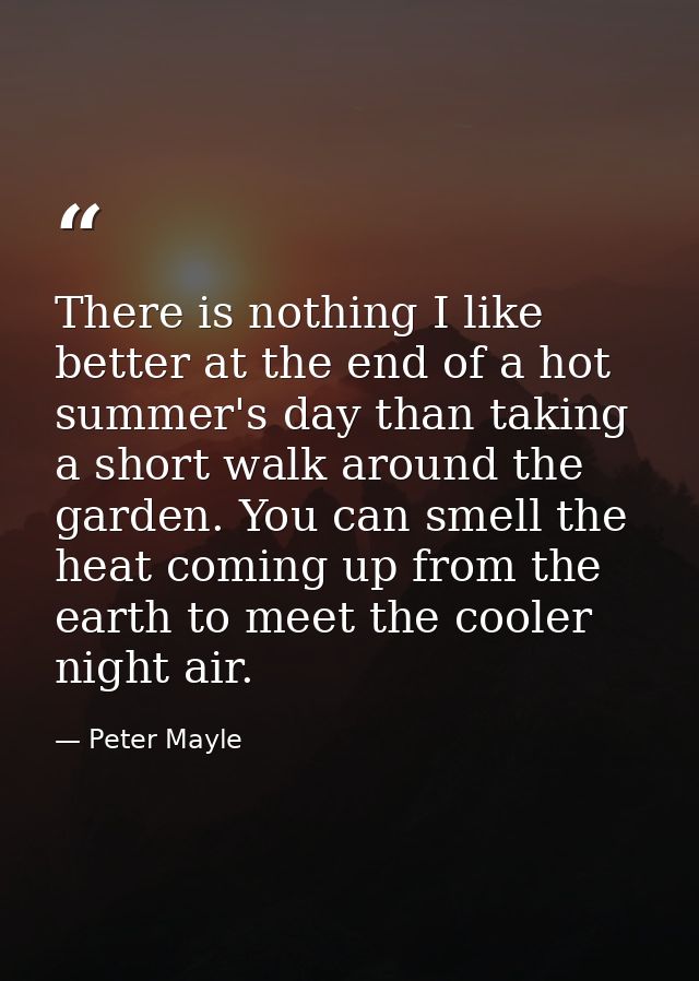 There is nothing I like better at the end of a hot summer's day than taking a short walk around the garden. You can smel — Peter Mayle