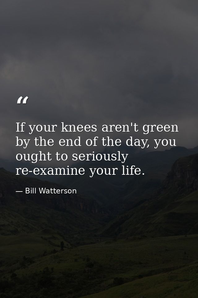 If your knees aren't green by the end of the day, you ought to seriously re-examine your life. — Bill Watterson